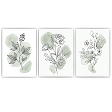 Laden Sie das Bild in den Galerie-Viewer, Botanische Poster 3er Set Salbeigrün Blumen Line Art Wandbilder