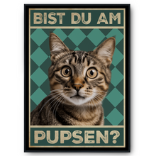 Laden Sie das Bild in den Galerie-Viewer, Bist du am Pupsen? Katzen Poster Badezimmer Gästebad Wandbild Klo Toilette Dekoration Lustiges Gäste-WC Bild DIN A4 - Katze 01