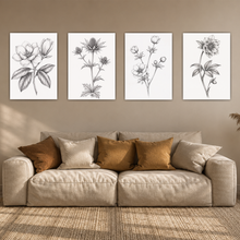 Laden Sie das Bild in den Galerie-Viewer, Botanische Poster 4er Set Schwarz Weiß Blumen Vintage Wandbilder