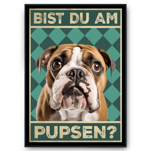 Englische Bulldogge - Bist du am Pupsen? Hunde Poster Badezimmer Gästebad Wandbild Klo Toilette Dekoration Lustiges Gäste-WC Bild DIN A4