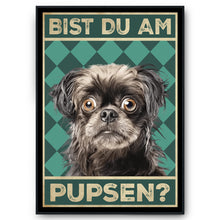 Laden Sie das Bild in den Galerie-Viewer, Bolonka Zwetna - Bist du am Pupsen? Hunde Poster Badezimmer Gästebad Wandbild Klo Toilette Dekoration Lustiges Gäste-WC Bild DIN A4