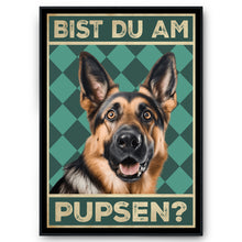 Laden Sie das Bild in den Galerie-Viewer, Deutscher Schäferhund - Bist du am Pupsen? Hunde Poster Badezimmer Gästebad Wandbild Klo Toilette Dekoration Lustiges Gäste-WC Bild DIN A4