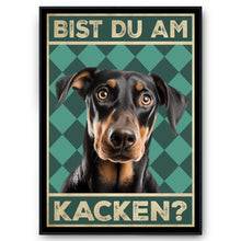 Laden Sie das Bild in den Galerie-Viewer, Dobermann - Bist du am Kacken? Hunde Poster Badezimmer Gästebad Wandbild Klo Toilette Dekoration Lustiges Gäste-WC Bild DIN A4