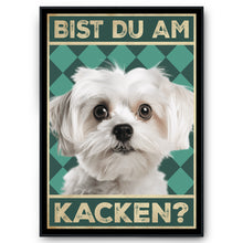 Laden Sie das Bild in den Galerie-Viewer, Malteser - Bist du am Kacken? Hunde Poster Badezimmer Gästebad Wandbild Klo Toilette Dekoration Lustiges Gäste-WC Bild DIN A4