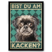 Laden Sie das Bild in den Galerie-Viewer, Bolonka Zwetna - Bist du am Kacken? Hunde Poster Badezimmer Gästebad Wandbild Klo Toilette Dekoration Lustiges Gäste-WC Bild DIN A4