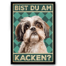 Laden Sie das Bild in den Galerie-Viewer, Shih Tzu - Bist du am Kacken? Hunde Poster Badezimmer Gästebad Wandbild Klo Toilette Dekoration Lustiges Gäste-WC Bild DIN A4