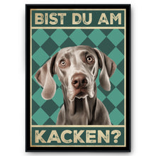 Laden Sie das Bild in den Galerie-Viewer, Weimaraner - Bist du am Kacken? Hunde Poster Badezimmer Gästebad Wandbild Klo Toilette Dekoration Lustiges Gäste-WC Bild DIN A4