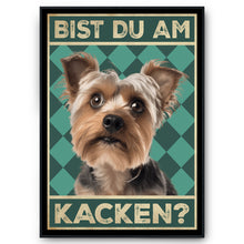 Laden Sie das Bild in den Galerie-Viewer, Yorkshire Terrier - Bist du am Kacken? Hunde Poster Badezimmer Gästebad Wandbild Klo Toilette Dekoration Lustiges Gäste-WC Bild DIN A4