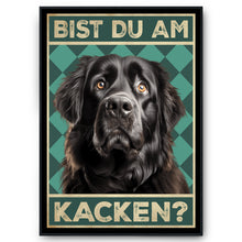 Laden Sie das Bild in den Galerie-Viewer, Neufundländer - Bist du am Kacken? Hunde Poster Badezimmer Gästebad Wandbild Klo Toilette Dekoration Lustiges Gäste-WC Bild DIN A4