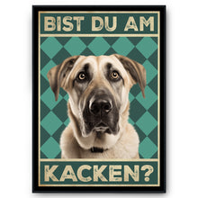 Laden Sie das Bild in den Galerie-Viewer, Kangal - Bist du am Kacken? Hunde Poster Badezimmer Gästebad Wandbild Klo Toilette Dekoration Lustiges Gäste-WC Bild DIN A4