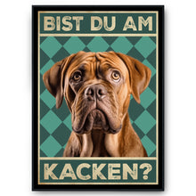 Laden Sie das Bild in den Galerie-Viewer, Bordeaux Dogge - Bist du am Kacken? Hunde Poster Badezimmer Gästebad Wandbild Klo Toilette Dekoration Lustiges Gäste-WC Bild DIN A4