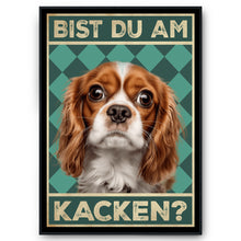 Laden Sie das Bild in den Galerie-Viewer, Cavalier King Charles Spaniel - Bist du am Kacken? Hunde Poster Badezimmer Gästebad Wandbild Klo Toilette Dekoration Lustiges Gäste-WC Bild DIN A4