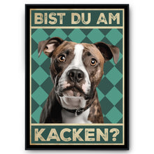 Laden Sie das Bild in den Galerie-Viewer, American Staffordshire Terrier - Bist du am Kacken? Hunde Poster Badezimmer Gästebad Wandbild Klo Toilette Dekoration Lustiges Gäste-WC Bild DIN A4