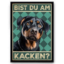 Laden Sie das Bild in den Galerie-Viewer, Rottweiler - Bist du am Kacken? Hunde Poster Badezimmer Gästebad Wandbild Klo Toilette Dekoration Lustiges Gäste-WC Bild DIN A4
