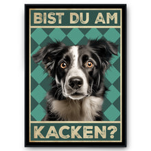 Laden Sie das Bild in den Galerie-Viewer, Border Collie - Bist du am Kacken? Hunde Poster Badezimmer Gästebad Wandbild Klo Toilette Dekoration Lustiges Gäste-WC Bild DIN A4