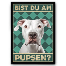 Laden Sie das Bild in den Galerie-Viewer, Dogo Argentino - Bist du am Pupsen? Hunde Poster Badezimmer Gästebad Wandbild Klo Toilette Dekoration Lustiges Gäste-WC Bild DIN A4