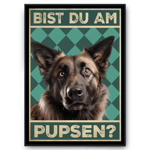 Belgischer Schäferhund - Bist du am Pupsen? Hunde Poster Badezimmer Gästebad Wandbild Klo Toilette Dekoration Lustiges Gäste-WC Bild DIN A4