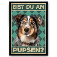 Laden Sie das Bild in den Galerie-Viewer, Australian Shepherd - Bist du am Pupsen? Hunde Poster Badezimmer Gästebad Wandbild Klo Toilette Dekoration Lustiges Gäste-WC Bild DIN A4