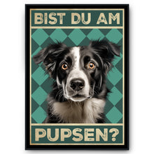 Laden Sie das Bild in den Galerie-Viewer, Border Collie - Bist du am Pupsen? Hunde Poster Badezimmer Gästebad Wandbild Klo Toilette Dekoration Lustiges Gäste-WC Bild DIN A4