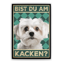 Laden Sie das Bild in den Galerie-Viewer, Malteser - Bist du am Kacken? Hunde Poster Badezimmer Gästebad Wandbild Klo Toilette Dekoration Lustiges Gäste-WC Bild DIN A4
