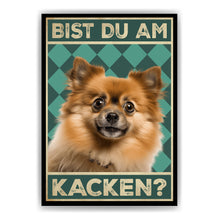 Laden Sie das Bild in den Galerie-Viewer, Zwergspitz - Bist du am Kacken? Hunde Poster Badezimmer Gästebad Wandbild Klo Toilette Dekoration Lustiges Gäste-WC Bild DIN A4