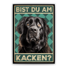 Laden Sie das Bild in den Galerie-Viewer, Neufundländer - Bist du am Kacken? Hunde Poster Badezimmer Gästebad Wandbild Klo Toilette Dekoration Lustiges Gäste-WC Bild DIN A4