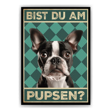 Laden Sie das Bild in den Galerie-Viewer, Boston Terrier - Bist du am Pupsen? Hunde Poster Badezimmer Gästebad Wandbild Klo Toilette Dekoration Lustiges Gäste-WC Bild DIN A4