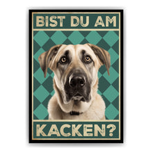 Laden Sie das Bild in den Galerie-Viewer, Kangal - Bist du am Kacken? Hunde Poster Badezimmer Gästebad Wandbild Klo Toilette Dekoration Lustiges Gäste-WC Bild DIN A4