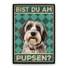 Laden Sie das Bild in den Galerie-Viewer, Tibet Terrier - Bist du am Pupsen? Hunde Poster Badezimmer Gästebad Wandbild Klo Toilette Dekoration Lustiges Gäste-WC Bild DIN A4