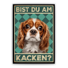Laden Sie das Bild in den Galerie-Viewer, Cavalier King Charles Spaniel - Bist du am Kacken? Hunde Poster Badezimmer Gästebad Wandbild Klo Toilette Dekoration Lustiges Gäste-WC Bild DIN A4
