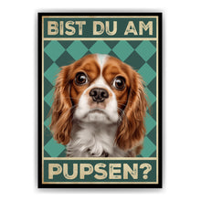 Laden Sie das Bild in den Galerie-Viewer, Cavalier King Charles Spaniel - Bist du am Pupsen? Hunde Poster Badezimmer Gästebad Wandbild Klo Toilette Dekoration Lustiges Gäste-WC Bild DIN A4