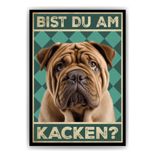 Laden Sie das Bild in den Galerie-Viewer, Shar Pei - Bist du am Kacken? Hunde Poster Badezimmer Gästebad Wandbild Klo Toilette Dekoration Lustiges Gäste-WC Bild DIN A4