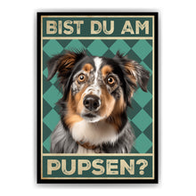 Laden Sie das Bild in den Galerie-Viewer, Australian Shepherd - Bist du am Pupsen? Hunde Poster Badezimmer Gästebad Wandbild Klo Toilette Dekoration Lustiges Gäste-WC Bild DIN A4