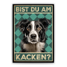 Laden Sie das Bild in den Galerie-Viewer, Border Collie - Bist du am Kacken? Hunde Poster Badezimmer Gästebad Wandbild Klo Toilette Dekoration Lustiges Gäste-WC Bild DIN A4