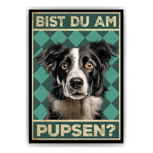 Laden Sie das Bild in den Galerie-Viewer, Border Collie - Bist du am Pupsen? Hunde Poster Badezimmer Gästebad Wandbild Klo Toilette Dekoration Lustiges Gäste-WC Bild DIN A4