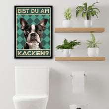 Laden Sie das Bild in den Galerie-Viewer, Boston Terrier - Bist du am Kacken? Hunde Poster Badezimmer Gästebad Wandbild Klo Toilette Dekoration Lustiges Gäste-WC Bild DIN A4
