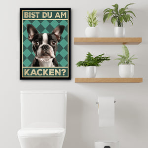 Boston Terrier - Bist du am Kacken? Hunde Poster Badezimmer Gästebad Wandbild Klo Toilette Dekoration Lustiges Gäste-WC Bild DIN A4