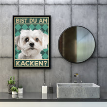 Laden Sie das Bild in den Galerie-Viewer, Malteser - Bist du am Kacken? Hunde Poster Badezimmer Gästebad Wandbild Klo Toilette Dekoration Lustiges Gäste-WC Bild DIN A4