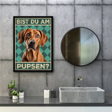 Laden Sie das Bild in den Galerie-Viewer, Rhodesian Ridgeback - Bist du am Pupsen? Hunde Poster Badezimmer Gästebad Wandbild Klo Toilette Dekoration Lustiges Gäste-WC Bild DIN A4