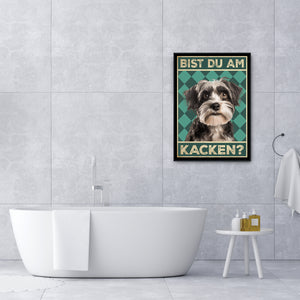 Havaneser - Bist du am Kacken? Hunde Poster Badezimmer Gästebad Wandbild Klo Toilette Dekoration Lustiges Gäste-WC Bild DIN A4