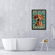 Laden Sie das Bild in den Galerie-Viewer, Rhodesian Ridgeback - Bist du am Kacken? Hunde Poster Badezimmer Gästebad Wandbild Klo Toilette Dekoration Lustiges Gäste-WC Bild DIN A4