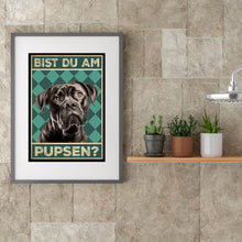 Laden Sie das Bild in den Galerie-Viewer, Cane Corso - Bist du am Pupsen? Hunde Poster Badezimmer Gästebad Wandbild Klo Toilette Dekoration Lustiges Gäste-WC Bild DIN A4