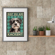 Laden Sie das Bild in den Galerie-Viewer, Havaneser - Bist du am Kacken? Hunde Poster Badezimmer Gästebad Wandbild Klo Toilette Dekoration Lustiges Gäste-WC Bild DIN A4