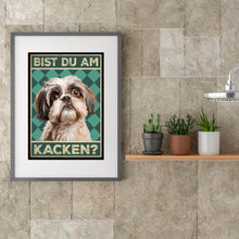 Laden Sie das Bild in den Galerie-Viewer, Shih Tzu - Bist du am Kacken? Hunde Poster Badezimmer Gästebad Wandbild Klo Toilette Dekoration Lustiges Gäste-WC Bild DIN A4