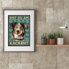 Laden Sie das Bild in den Galerie-Viewer, Australian Shepherd - Bist du am Kacken? Hunde Poster Badezimmer Gästebad Wandbild Klo Toilette Dekoration Lustiges Gäste-WC Bild DIN A4