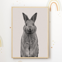 Laden Sie das Bild in den Galerie-Viewer, Hase 2er Set DIN A4 Kinderzimmer Wandbilder Babyzimmer Poster Dekoration