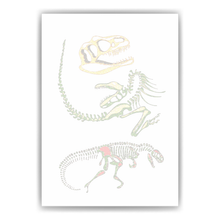 Laden Sie das Bild in den Galerie-Viewer, Dinosaurier Skelette Bild DIN A4 Kinderzimmer Wandbild Deko Babyzimmer Poster