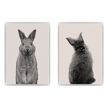 Laden Sie das Bild in den Galerie-Viewer, Hase 2er Set DIN A4 Kinderzimmer Wandbilder Babyzimmer Poster Dekoration