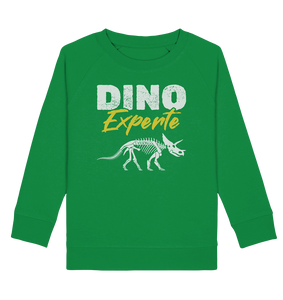 Dino Kinder Dinosaurier Experte Sweatshirt