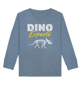 Dino Kinder Dinosaurier Experte Sweatshirt